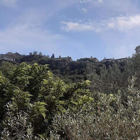 Le Chemin De Bruniele Apartment Aubres Luaran gambar
